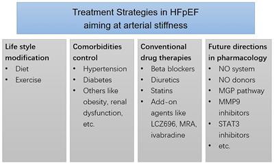 Association Between Arterial Stiffness and Heart Failure With Preserved Ejection Fraction